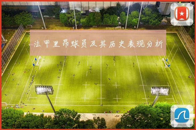 法甲里昂球员及其历史表现分析