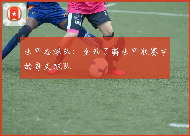 法甲各球队：全面了解法甲联赛中的每支球队