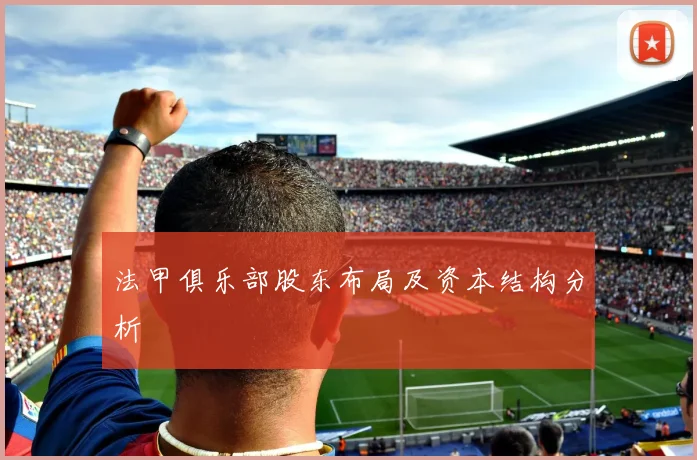 法甲俱乐部股东布局及资本结构分析